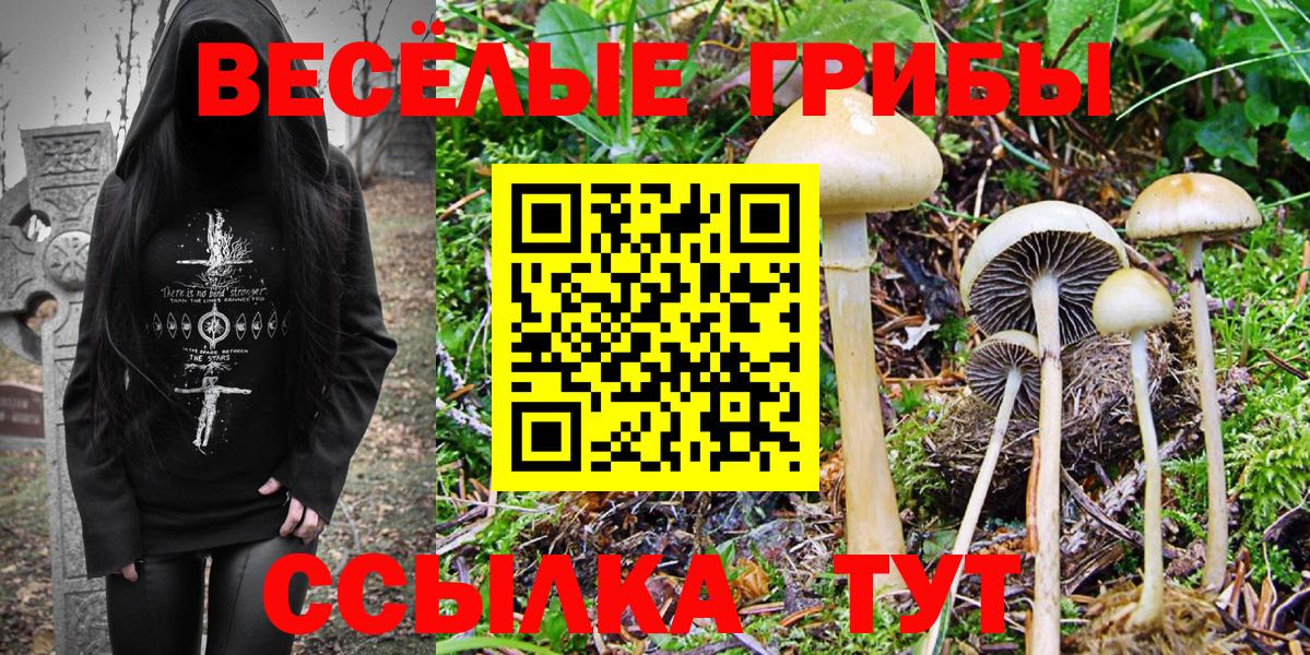 Галлюциногенные грибы Cubensis Альметьевск
